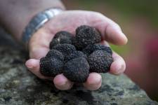 Julien SESIA - Julien-Sésia-Photographie©