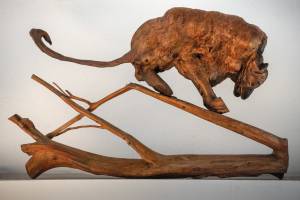 Pierre RICH - Rich Photographe