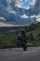 Alexandre DAGOGNET - DAGOGNET ALEXANDRE